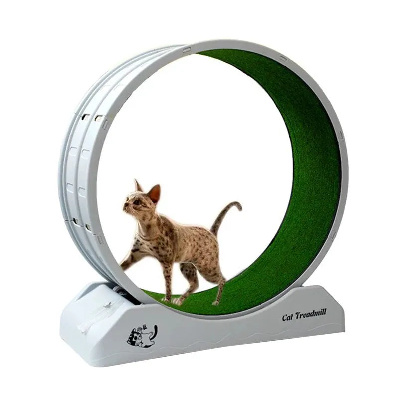 Cinta de correr silenciosa para gatos, rodillo de cama plana, tablero rascador de Fitness para mascotas, ejercicio, marco de escalada, suministros para mascotas