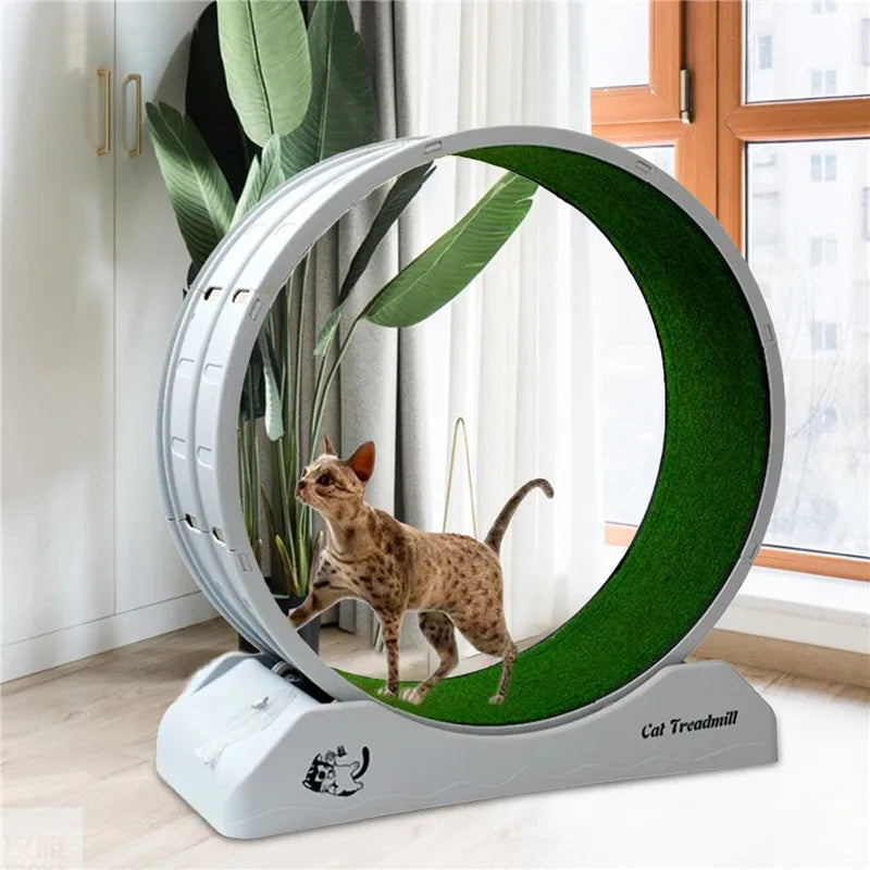 Cinta de correr silenciosa para gatos, rodillo de cama plana, tablero rascador de Fitness para mascotas, ejercicio, marco de escalada, suministros para mascotas