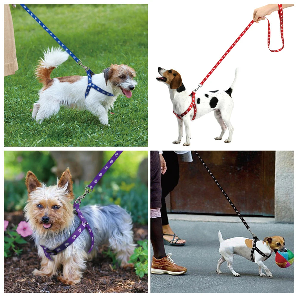 Juego de arnés y correa para perros de nailon, arnés ajustable con estampado de pata para perros, correa para caminar para perros pequeños y medianos S/M/L