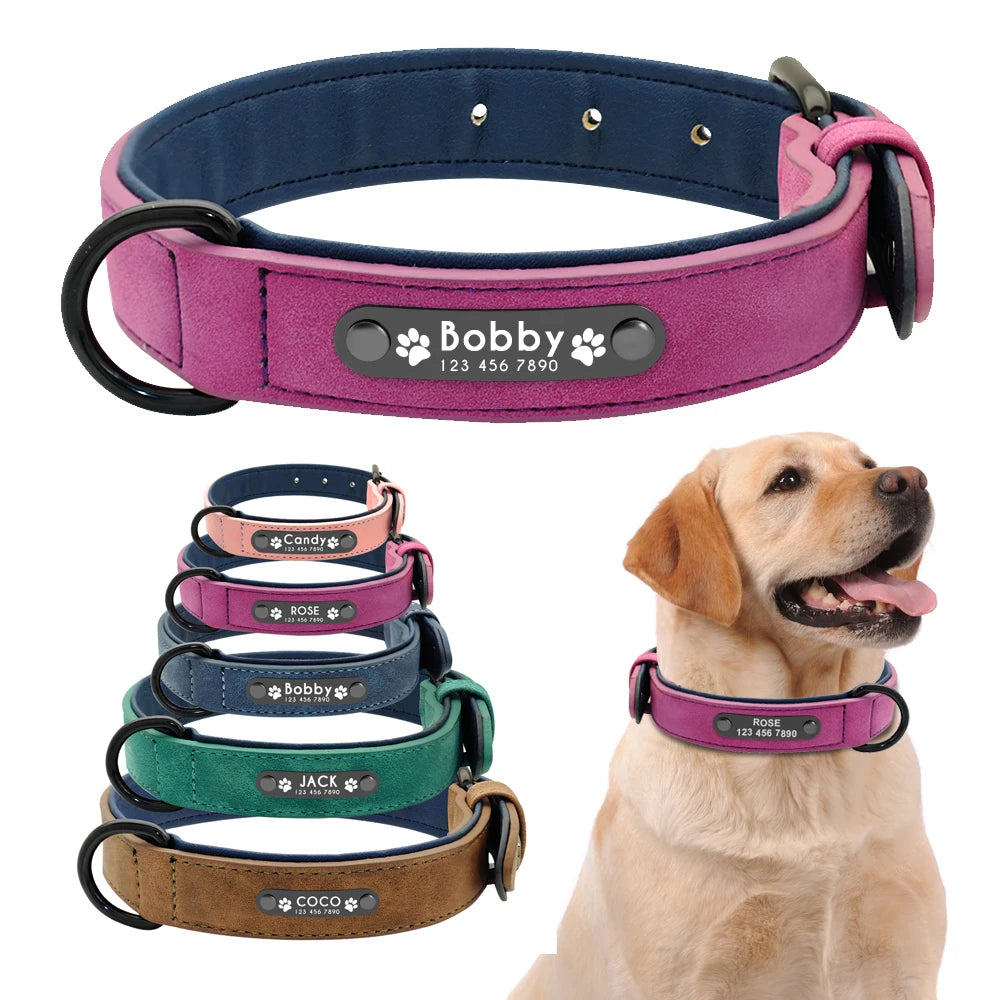 Collar personalizado de cuero para perro, accesorio acolchado interior para identificación de mascotas, para perros pequeños, medianos y grandes, Pitbull y Bulldog