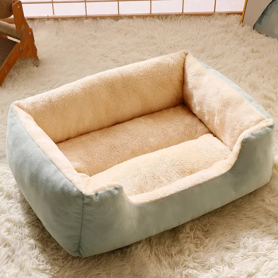 Cama para gatos, productos para mascotas, cojines, artículos para gatitos, accesorios para perros, todas las casas, suministros, cosas, accesorios, hábitats, cesta, camas para casa