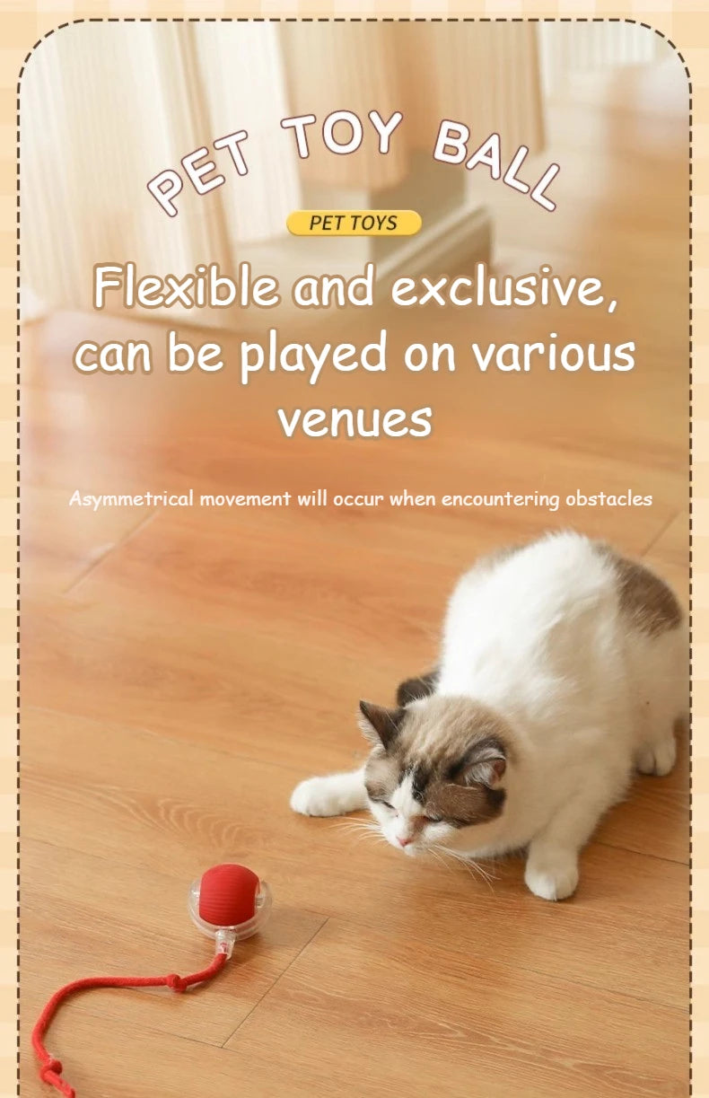 Juguete interactivo recargable para gatos. Bola eléctrica con cola simulada CatBall