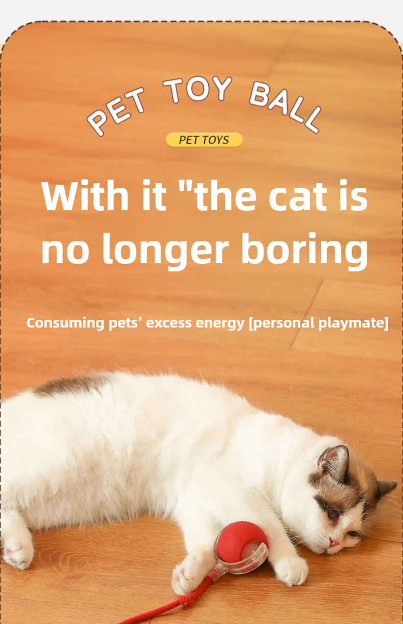 Juguete interactivo recargable para gatos. Bola eléctrica con cola simulada CatBall