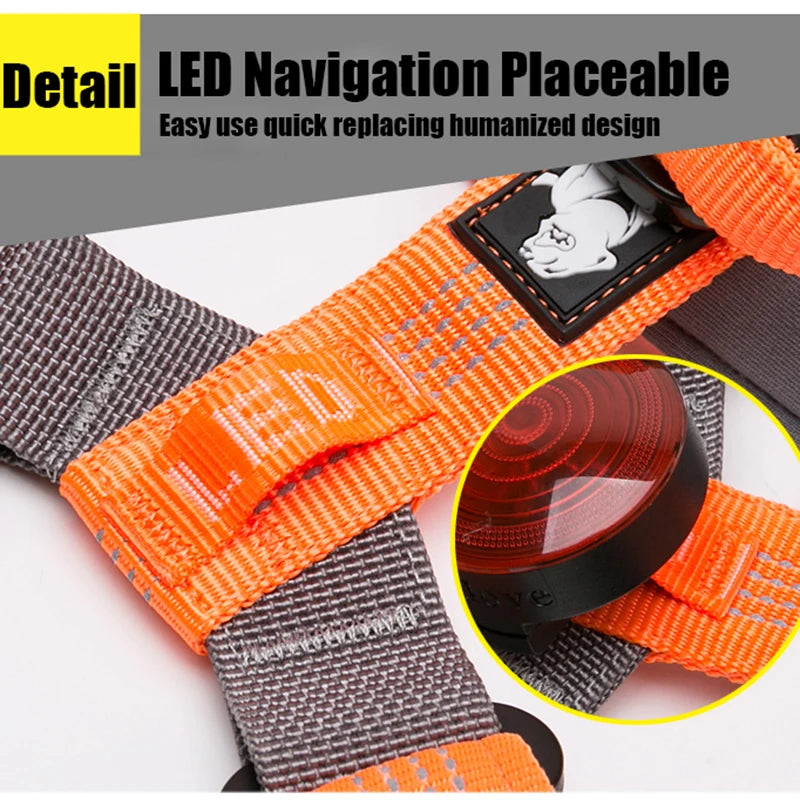 Truelove-arnés para mascotas, nailon reflectante ajustable con cuello, correa, luz LED, neopreno acolchado, senderismo, correr, TLH6171, envío directo