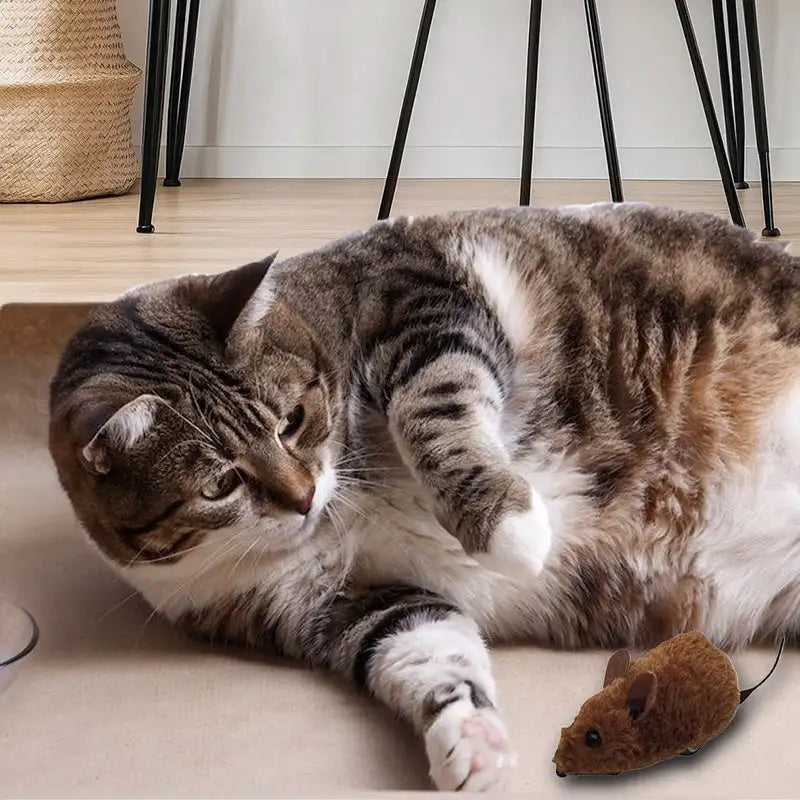 Ratón de juguete electrónico para gatos y perros. Interactivo y con sonido