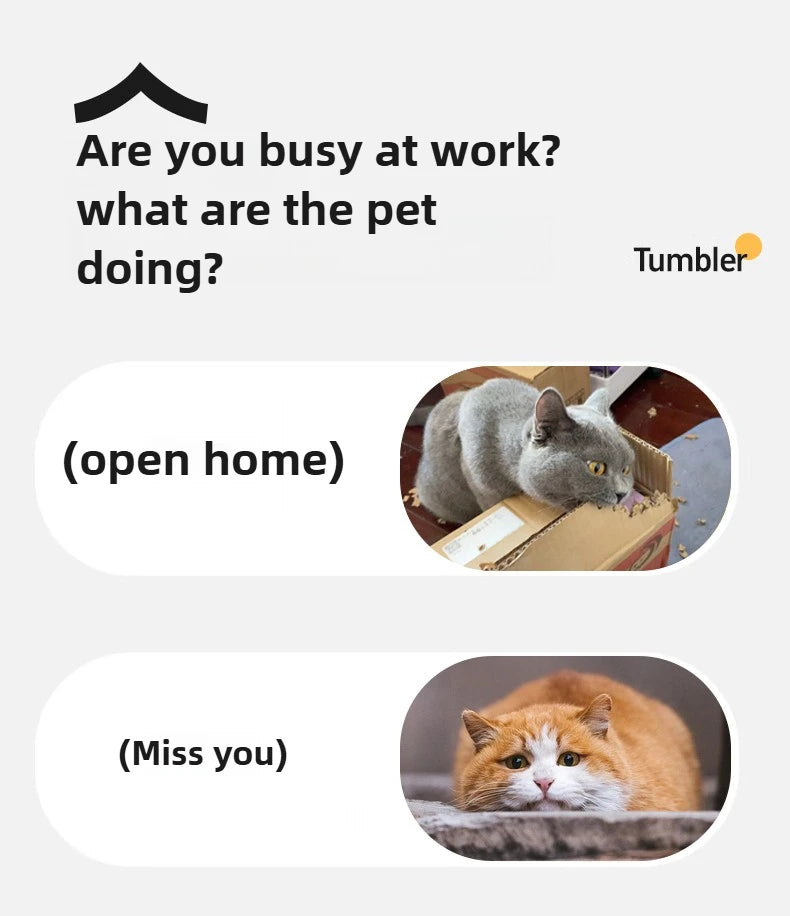 Juguete interactivo recargable para gatos. Bola eléctrica con cola simulada CatBall