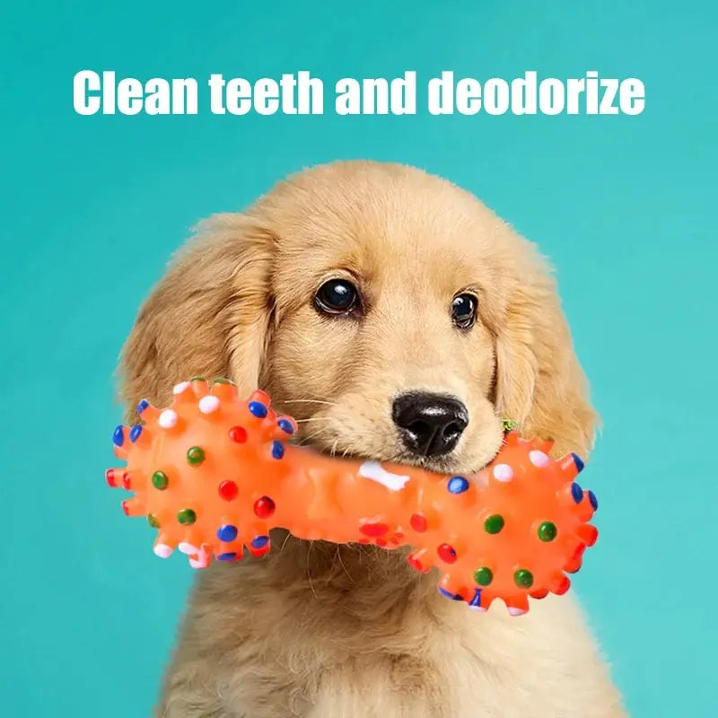 Juguete para masticar para perros, goma Natural, seguridad y protección del medio ambiente, Flexible, resistente a mordeduras, dientes limpios, 1 ud.